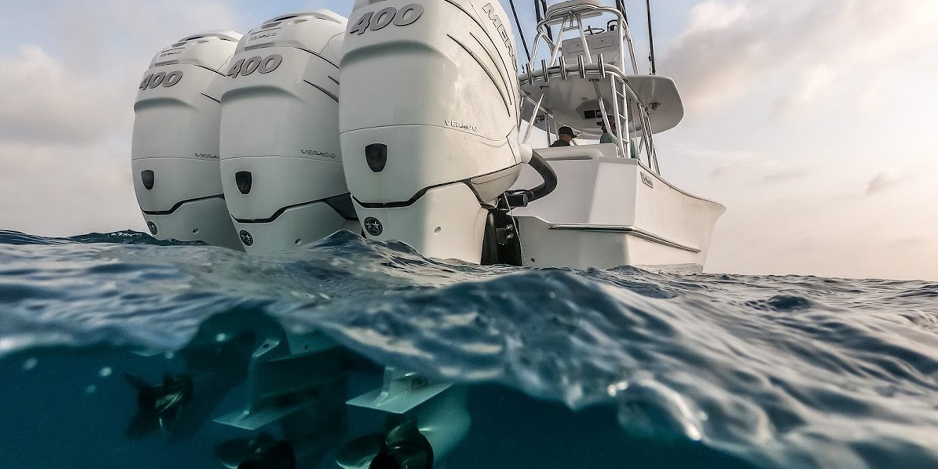 Evolution World Wide Market Search