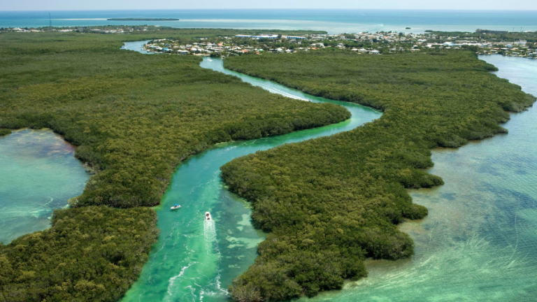 Mini Lobster Season_MacGregor Yachts (1)