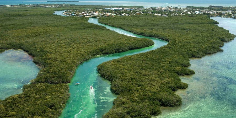 Mini Lobster Season_MacGregor Yachts (1)